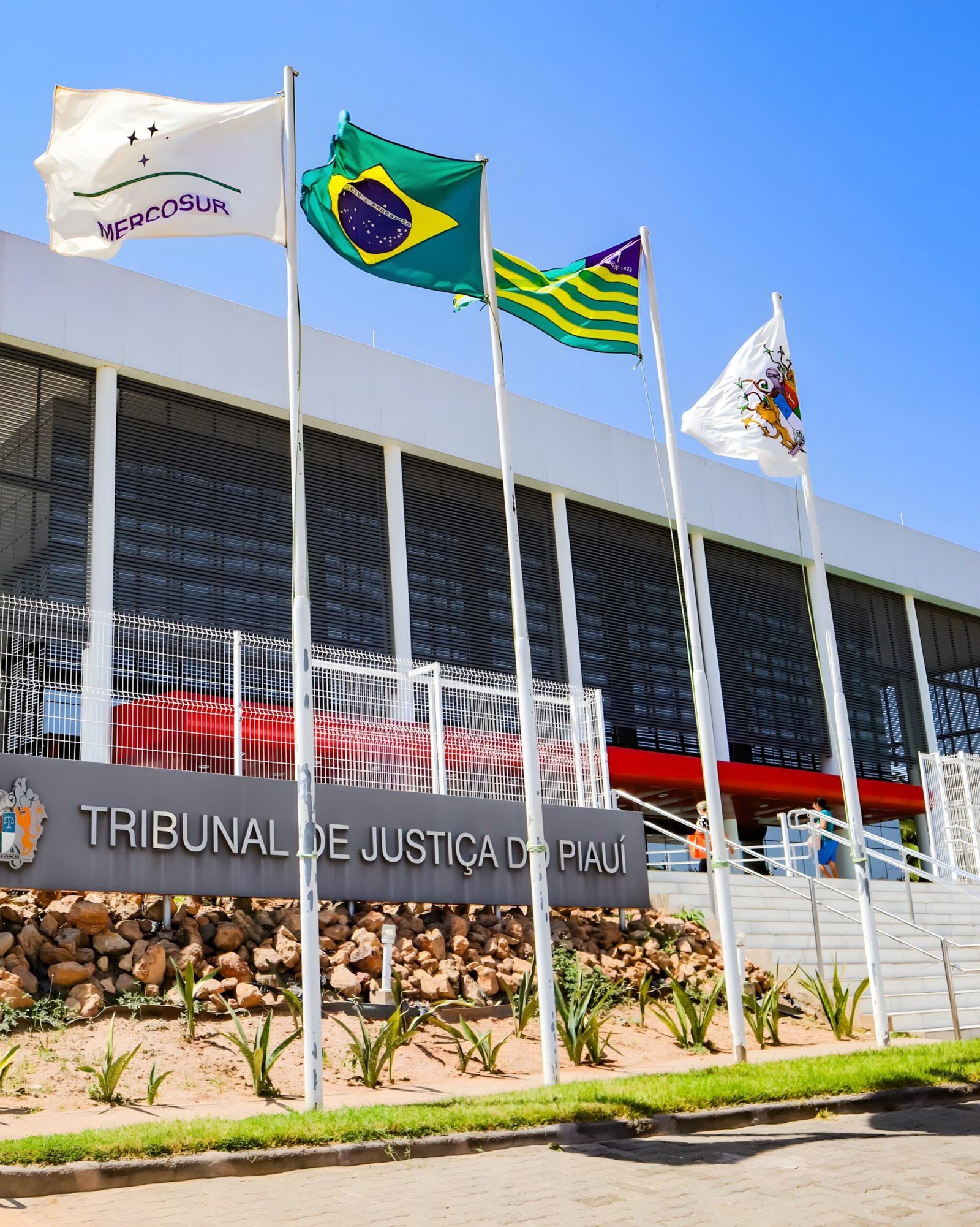 Willna Carvalho Advocacia